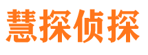 宜丰市调查公司